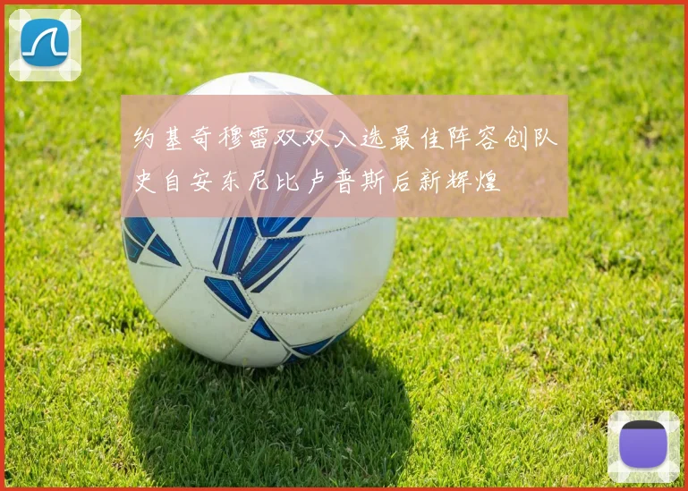 约基奇穆雷双双入选最佳阵容创队史自安东尼比卢普斯后新辉煌