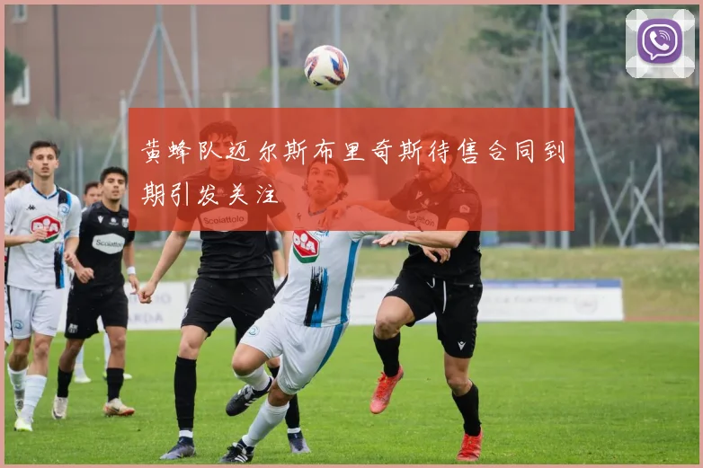 黄蜂队迈尔斯布里奇斯待售合同到期引发关注