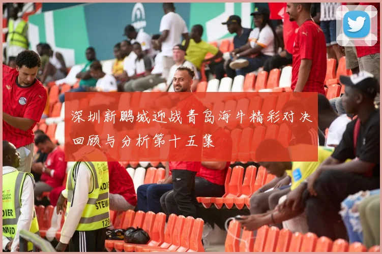 深圳新鹏城迎战青岛海牛精彩对决回顾与分析第十五集